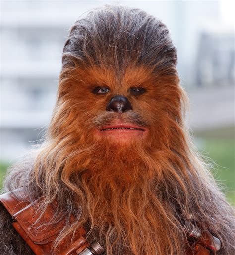 chewbacca wookiee|star wars chewbacca dies.